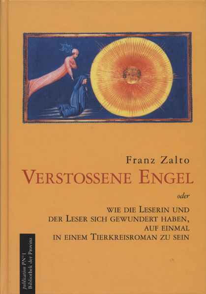 Cover von Verstoßene Engel
