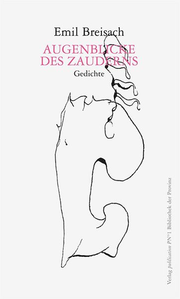Cover von Augenblicke des Zauderns