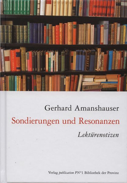 Cover von Sondierungen und Resonanzen