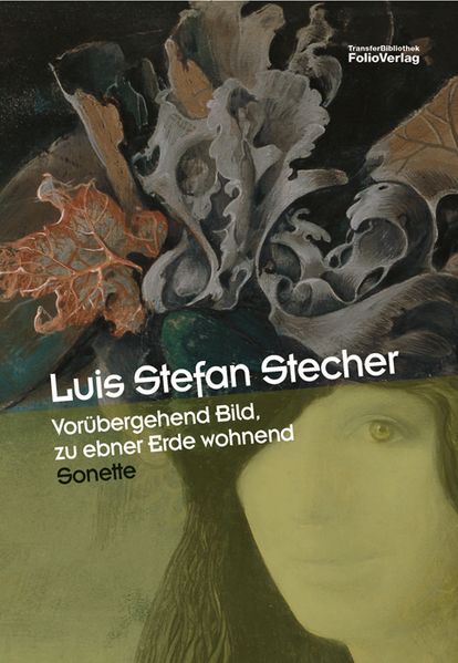 Cover von Vorübergehend Bild, zu ebner Erde wohnend