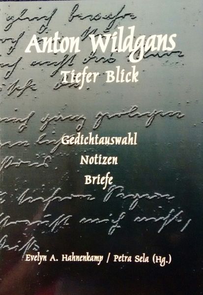 Cover von Tiefer Blick