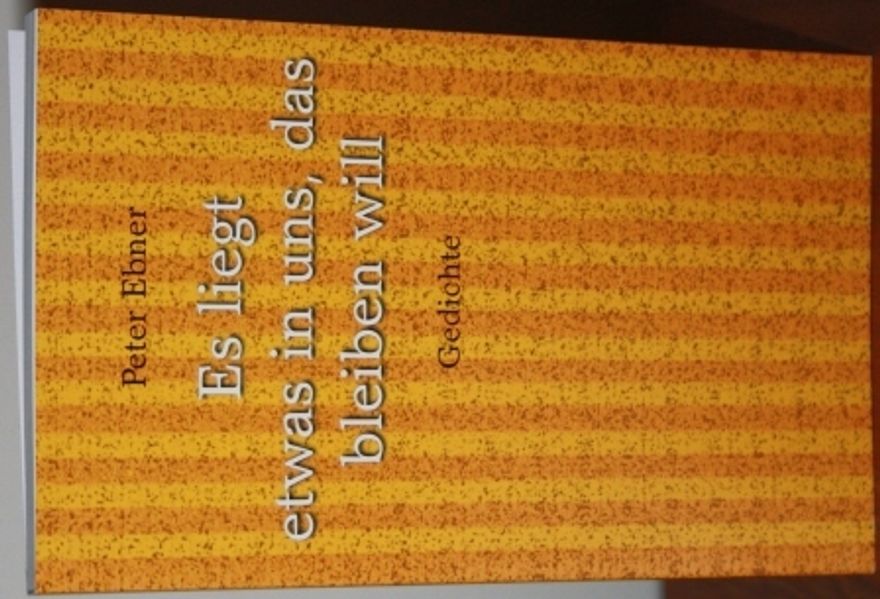 Cover von Es liegt etwas in uns, das bleiben will