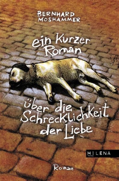 Cover von Ein kurzer Roman über die Schrecklichkeit der Liebe