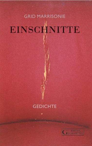 Cover von Einschnitte