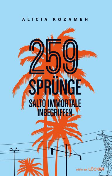 Cover von 259 Sprünge