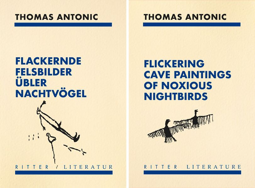 Cover von Flackernde Felsbilder über Nachtvögel