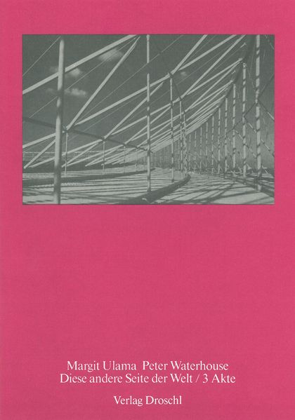 Cover von Diese andere Seite der Welt