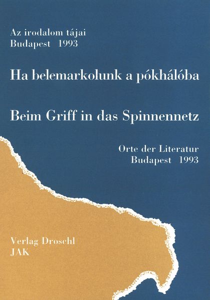 Cover von Beim Griff in das Spinnennetz