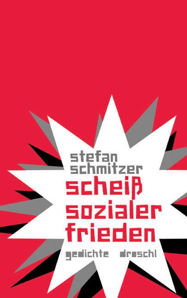 Cover von scheiß sozialer frieden