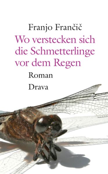 Cover von Wo verstecken sich die Schmetterlinge vor dem Regen