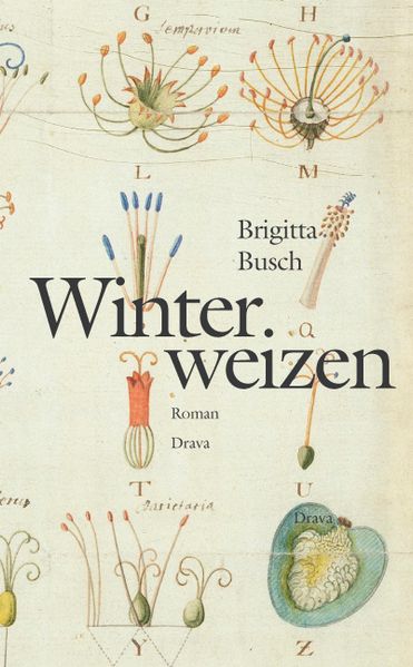 Cover von Winterweizen