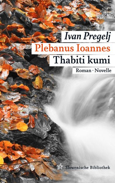 Cover von Plebanus Ioannes Thabiti kumi