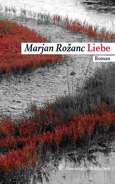 Cover von Liebe