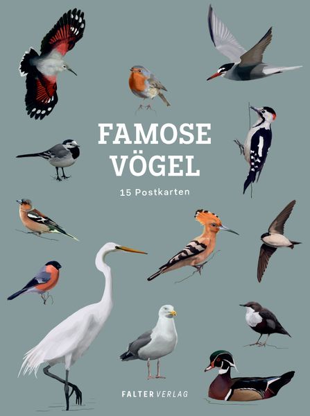 Cover von Famose Vögel – Postkartenbuch