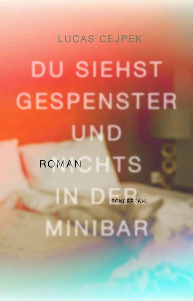 Cover von Du siehst Gespenster und nichts in der Minibar