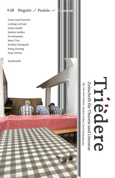 Cover von Triëdere #28: Negativ/Positiv/Glamour