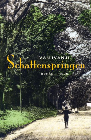 Cover von Schattenspringen