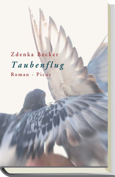 Cover von Taubenflug