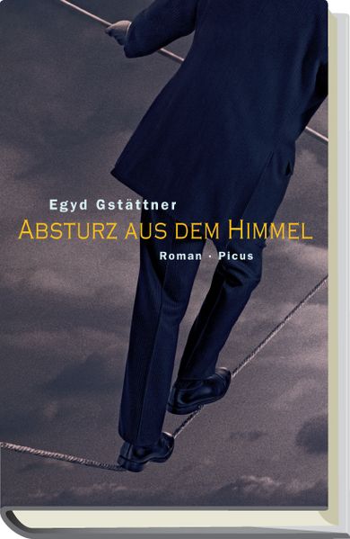 Cover von Absturz aus dem Himmel