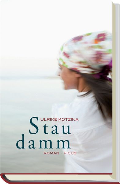 Cover von Staudamm