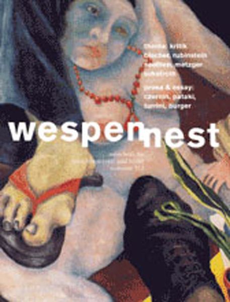Cover von Wespennest. Zeitschrift für brauchbare Texte und Bilder / Kritik