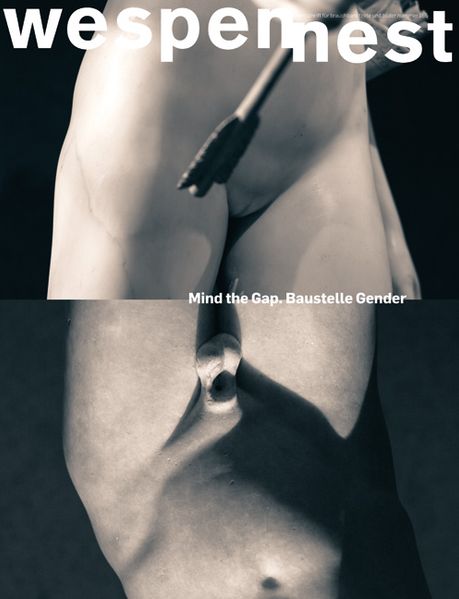 Cover von Wespennest. Zeitschrift für brauchbare Texte und Bilder / Mind the Gap. Baustelle Gender