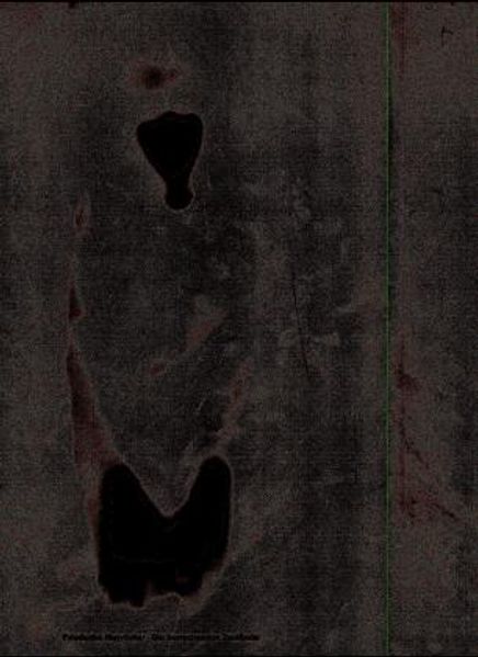 Cover von Wespennest. Zeitschrift für brauchbare Texte und Bilder / Friederike Mayröcker – die herrschenden Zustände
