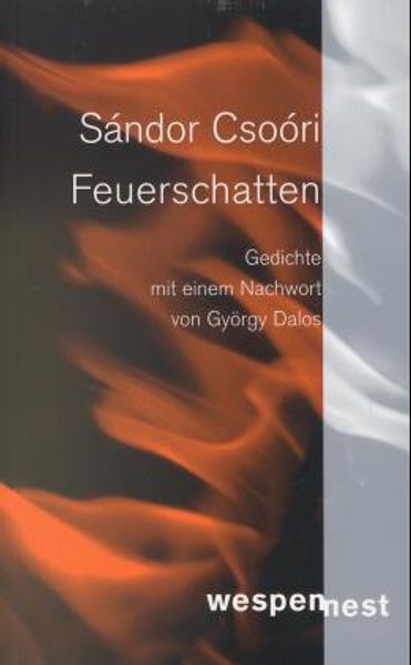 Cover von Feuerschatten