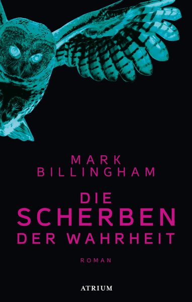 Cover von Die Scherben der Wahrheit