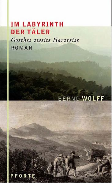 Cover von Im Labyrinth der Täler