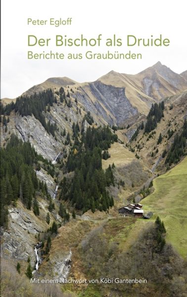 Cover von Der Bischof als Druide