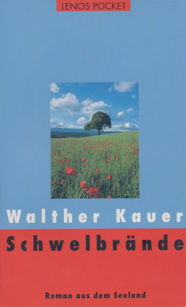 Cover von Schwelbrände