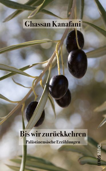 Cover von Bis wir zurückkehren