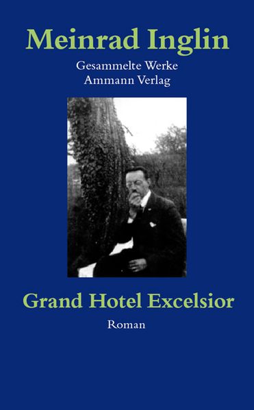 Cover von Gesammelte Werke in Einzelausgaben / Grand Hotel Excelsior