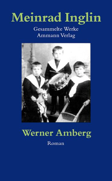 Cover von Gesammelte Werke in Einzelausgaben / Werner Amberg