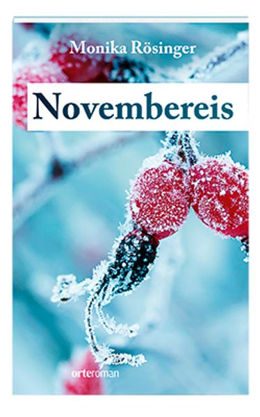Cover von Novembereis