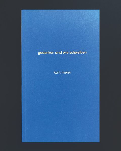 Cover von Gedanken sind wie Schwalben