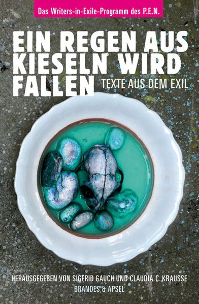 Cover von Ein Regen aus Kieseln wird fallen