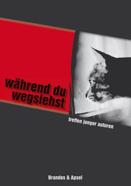 Cover von Während du wegsiehst
