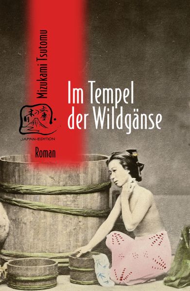 Cover von Im Tempel der Wildgänse