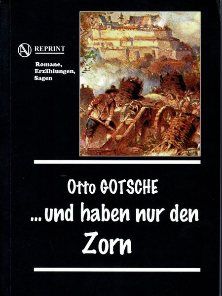 Cover von … und haben nur den Zorn