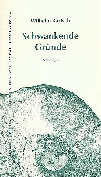 Cover von Schwankende Gründe