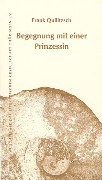 Cover von Begegnung mit einer Prinzessin