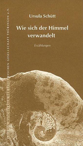 Cover von Wie sich der Himmel verwandelt