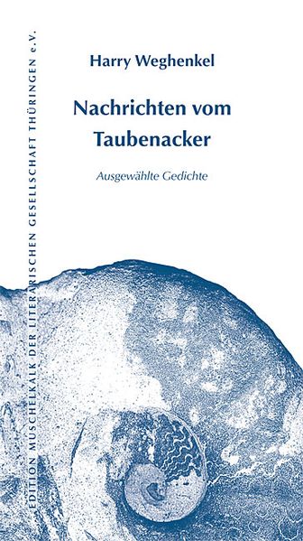 Cover von Nachrichten vom Taubenacker