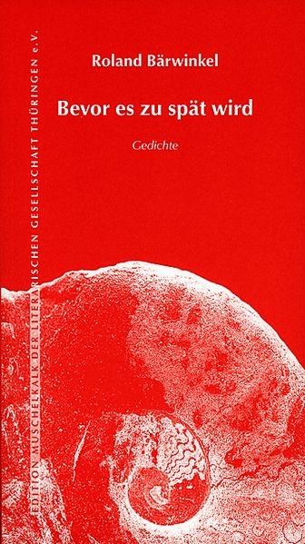 Cover von Bevor es zu spät wird