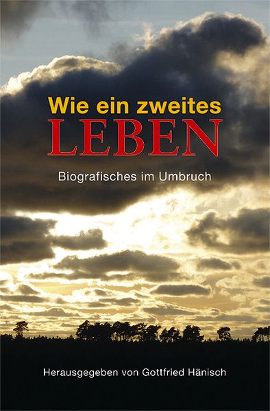Cover von Wie ein zweites Leben
