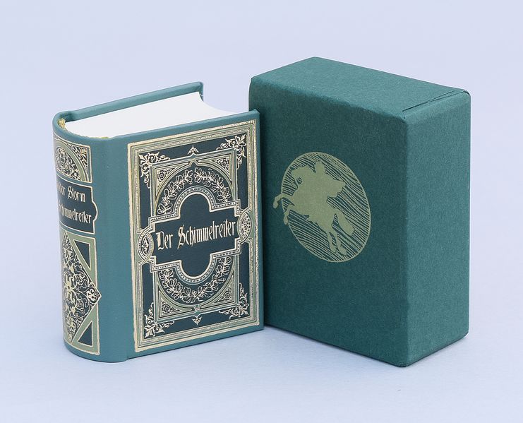 Cover von Der Schimmelreiter
