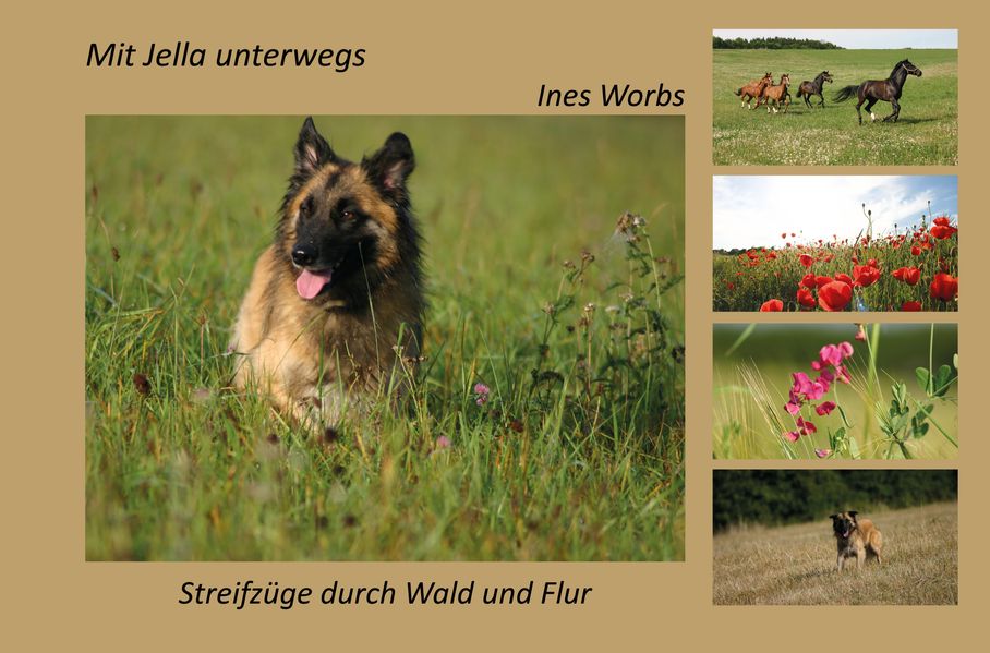 Cover von Mit Jella unterwegs – Streifzüge durch Wald und Flur