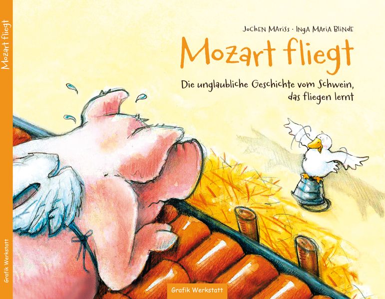 Cover von Kinderbuch – Mozart fliegt